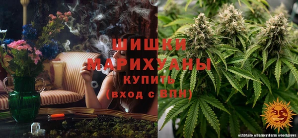 сатива Кодинск
