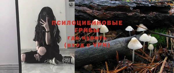 мдпв Киренск