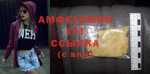 индика Карпинск